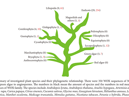 Lian G, et,al. Origins and Evolution of WUSCHEL-Related Homeobox Protein Family in Plant Kingdom. ScientificWorldJournal.?2014 Jan 6;2014:534140.(IF=1.730)