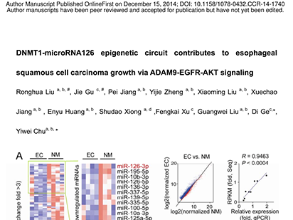 Liu R, et al. DNMT1-microRNA126 epigenetic circuit contributes to esophageal squamous cell carcinoma growth via ADAM9-EGFR-AKT signaling. Clin Cancer Res.?2015 Feb 15;21(4):854-63. (IF=8.193)