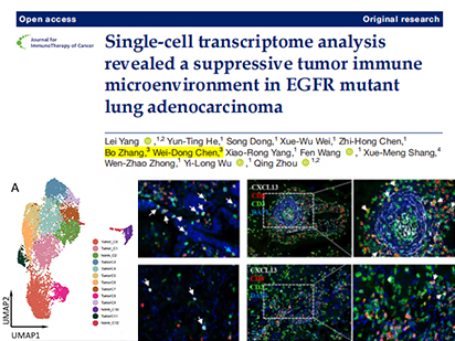 【IF=13.751】廣東省人民醫(yī)院肺癌研究所團隊與烈冰合作解析EGFR突變型肺腺癌免疫微環(huán)境